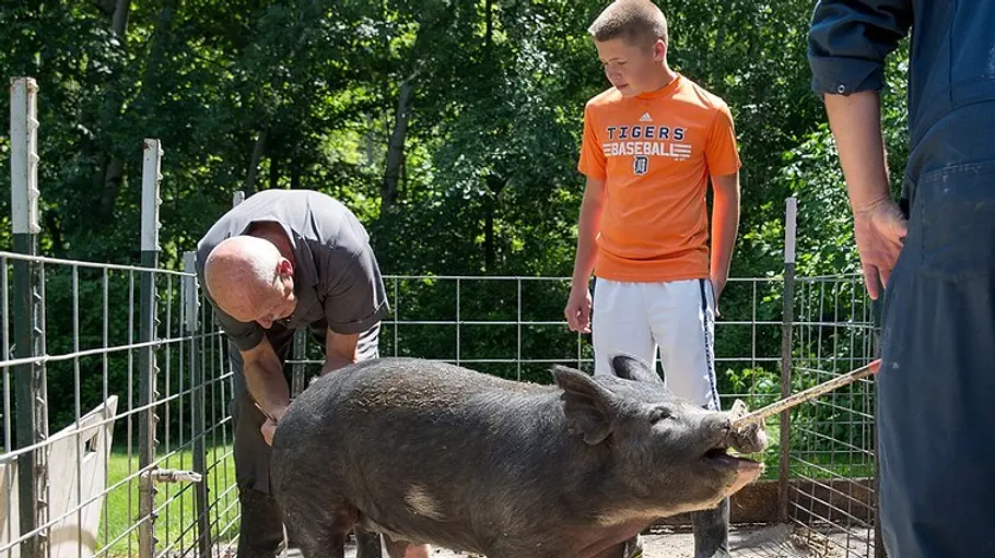 Der unglaubliche Dr. Pol der unglaubliche dr. pol
