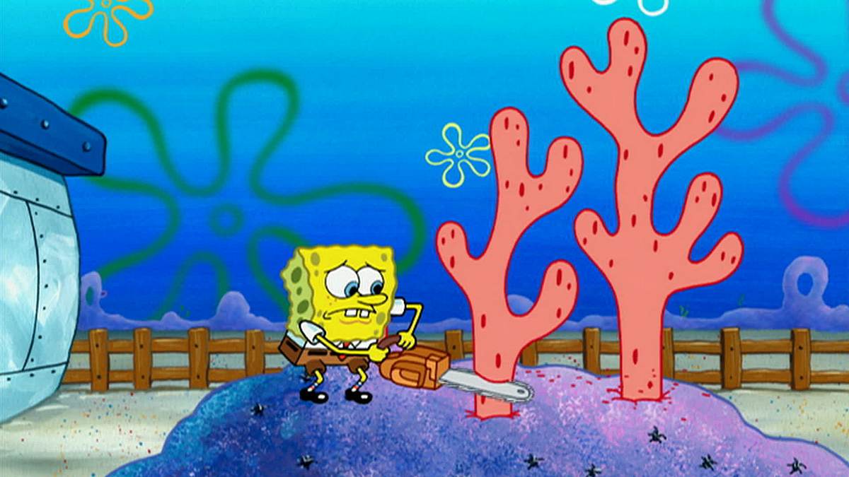 spongebob schwammkopf