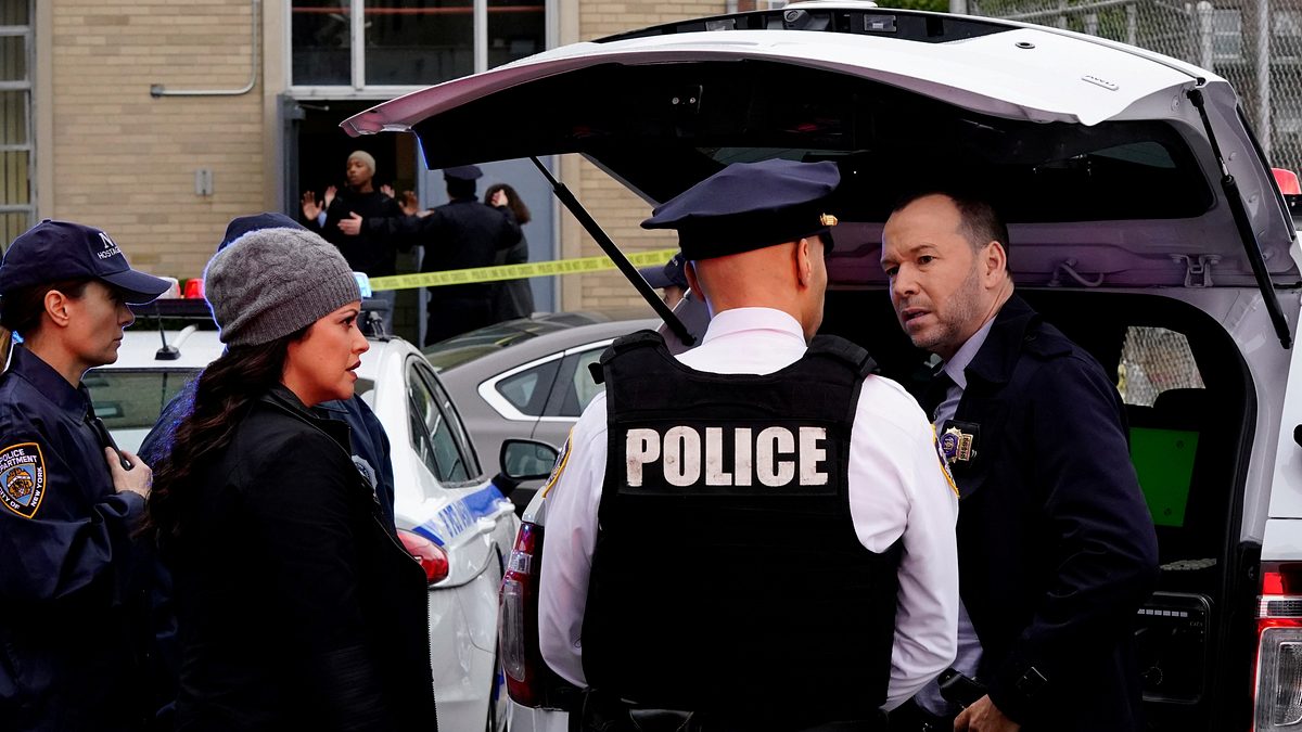 blue bloods - crime scene new york