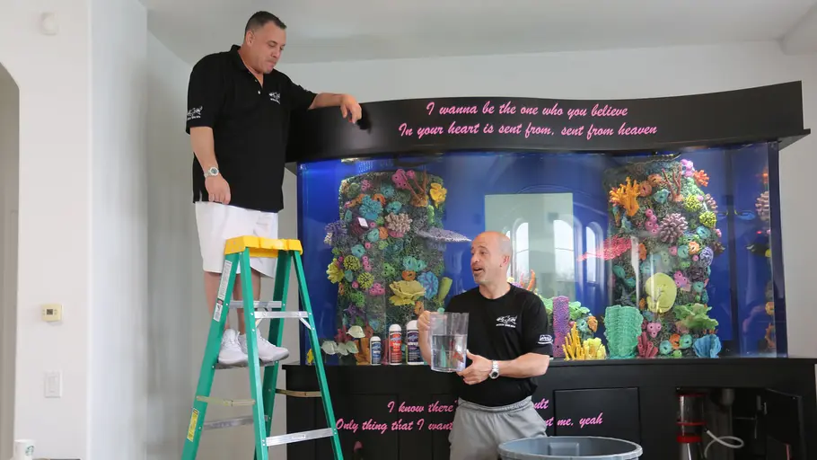 Die Aquarium-Profis die aquarium-profis