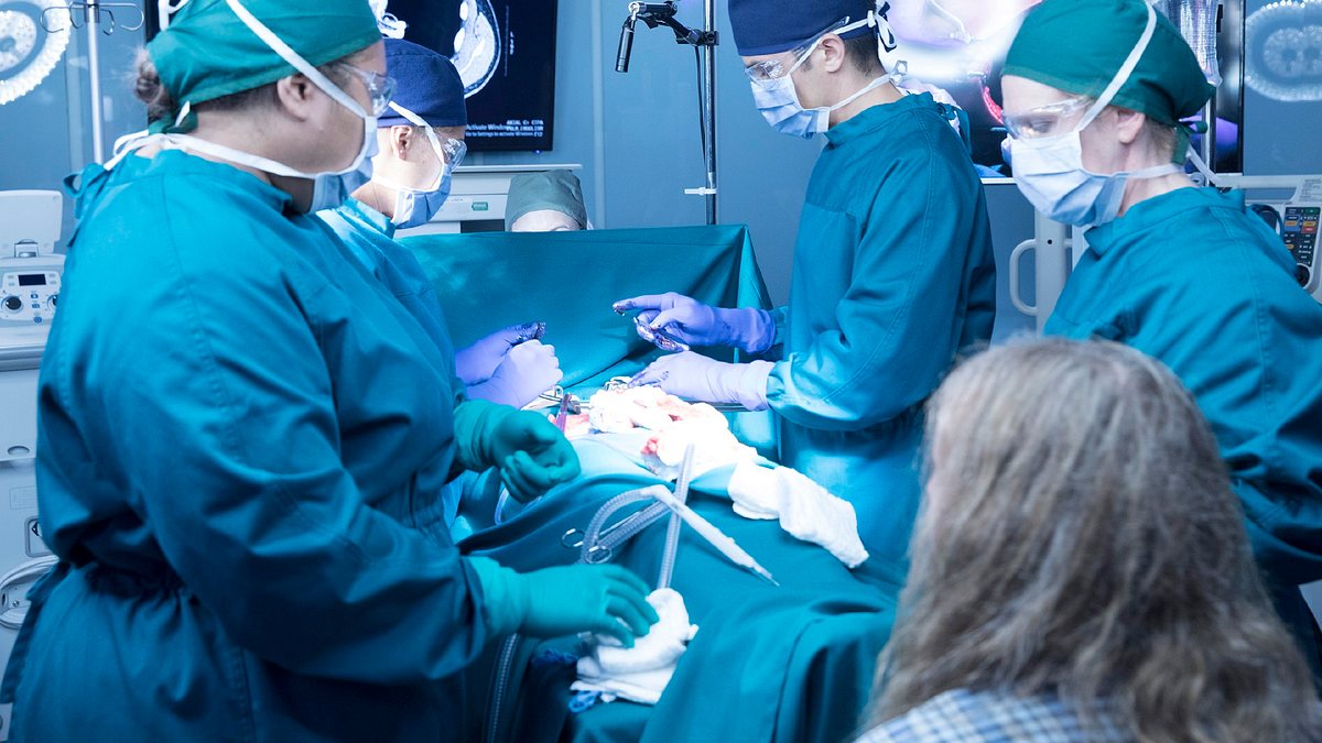 the good doctor
