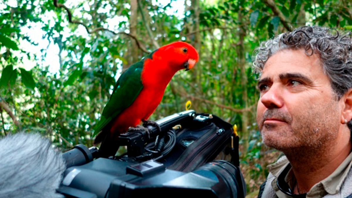 abenteuer wildnis