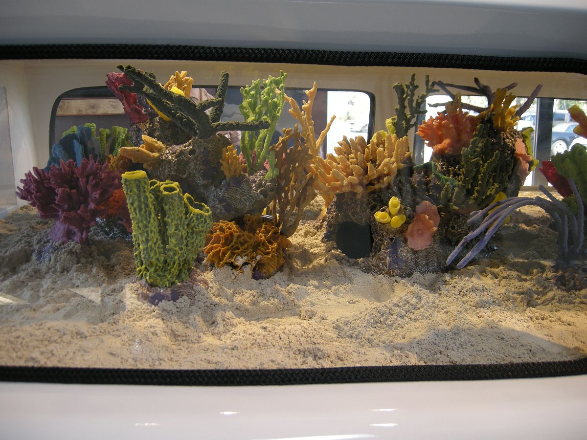 Fish Tank Kings - Gigantische Wasserwelten fish tank kings - gigantische wasserwelten