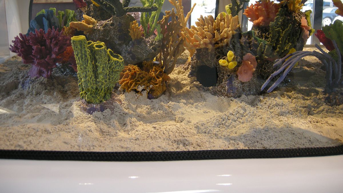 fish tank kings - gigantische wasserwelten