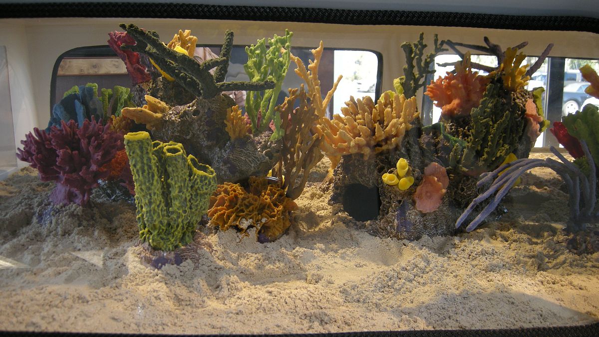 fish tank kings - gigantische wasserwelten