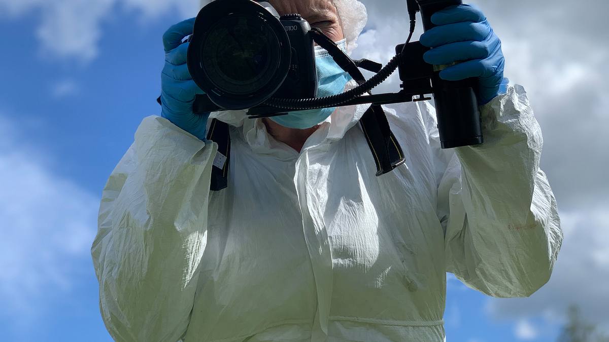 am ort des verbrechens - forensiker auf spurensuche