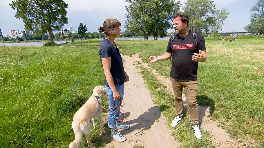 der hundeprofi