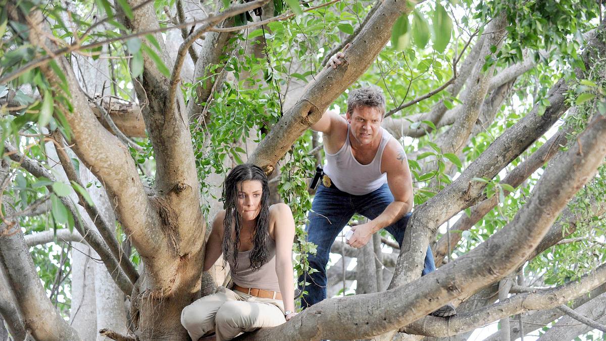 the glades