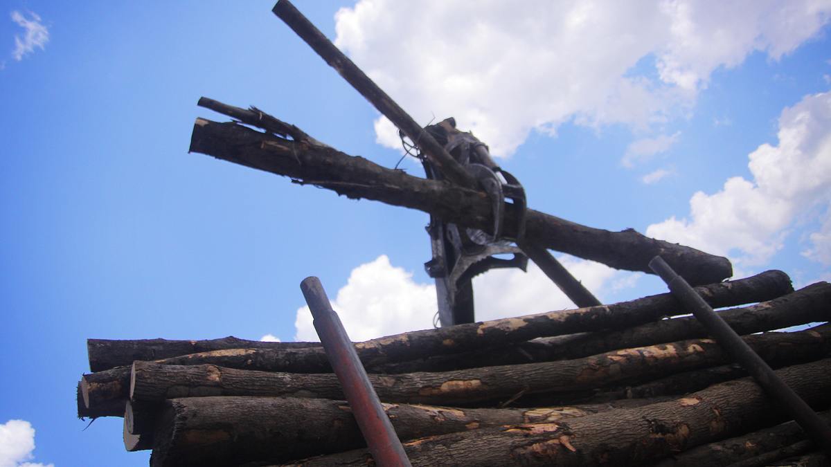 holzfäller extrem