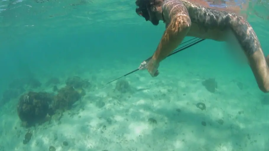 Naked Survival: 14 Tage auf der Hai-Insel naked survival: 14 tage auf der hai-insel