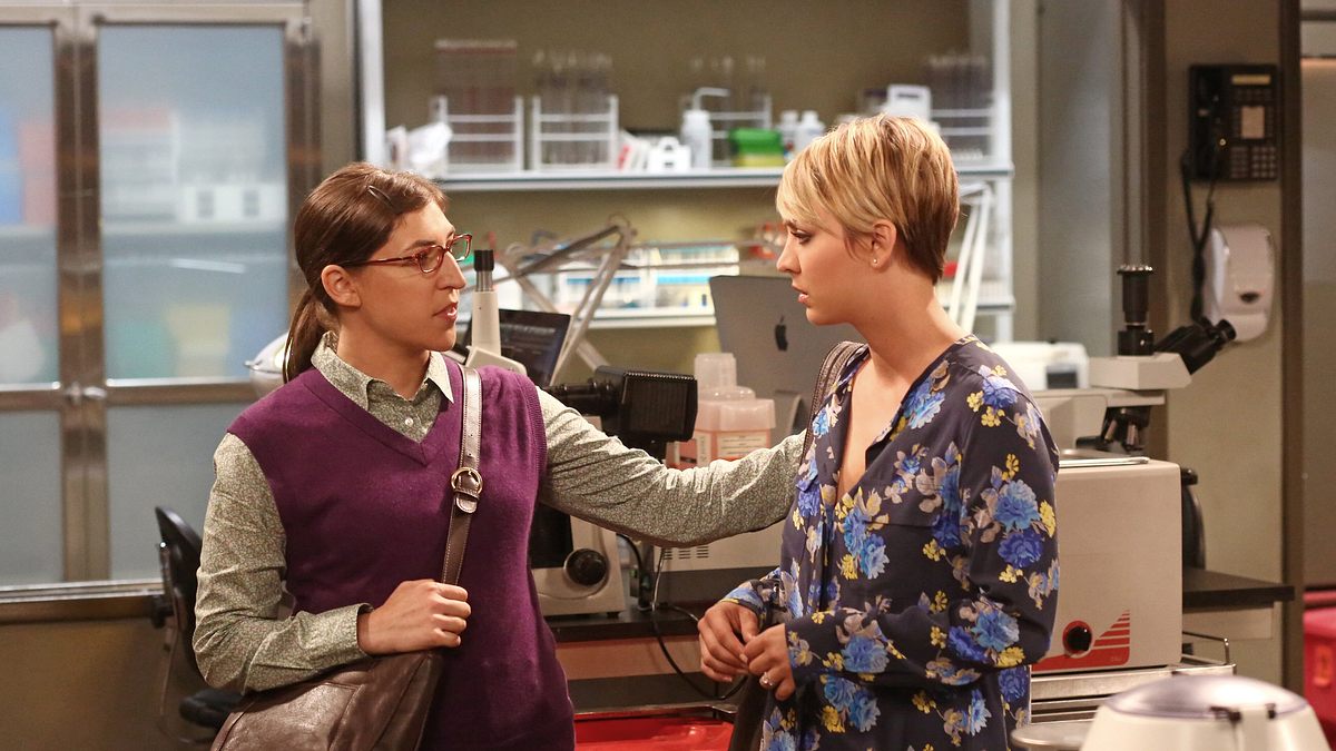 the big bang theory