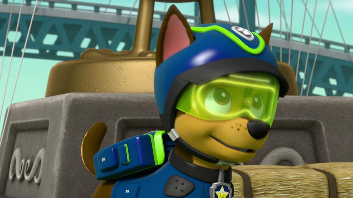 paw patrol - helfer auf vier pfoten