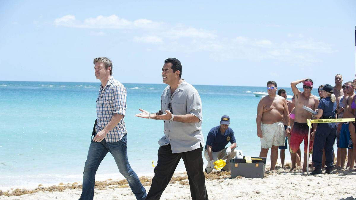 the glades