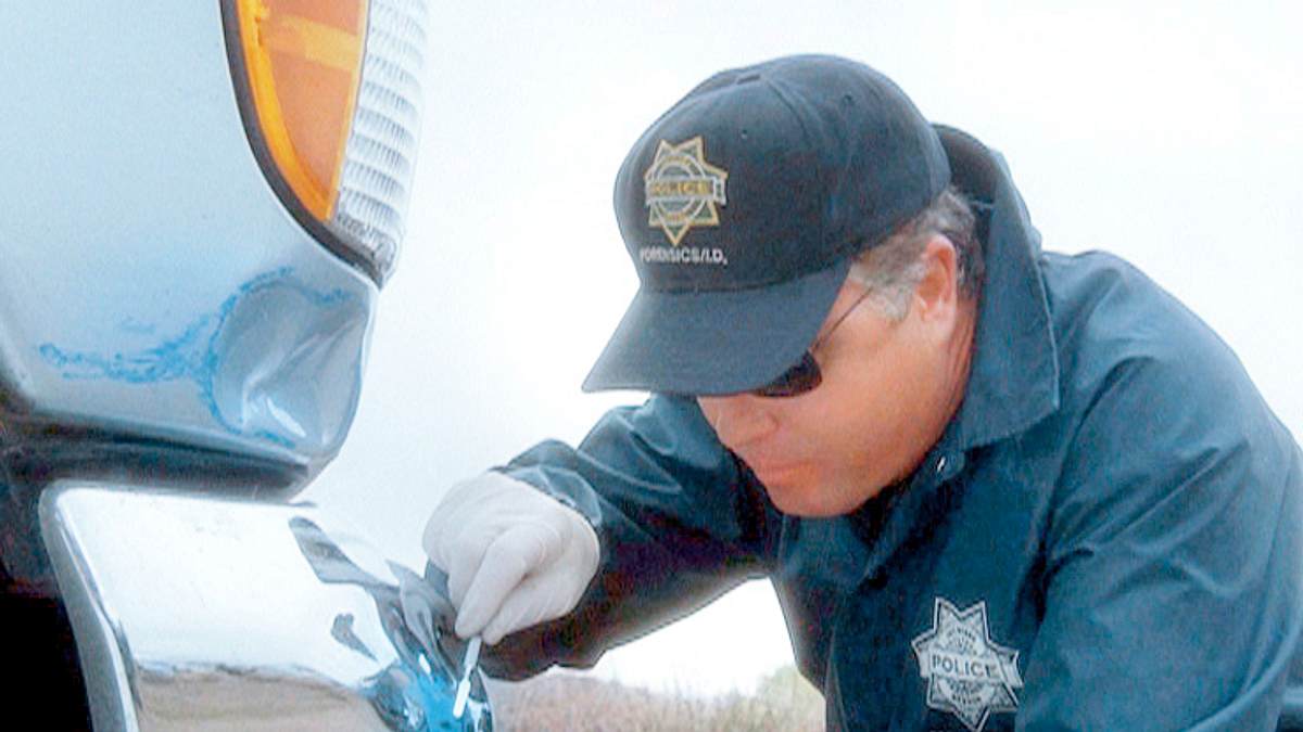 csi: den tätern auf der spur