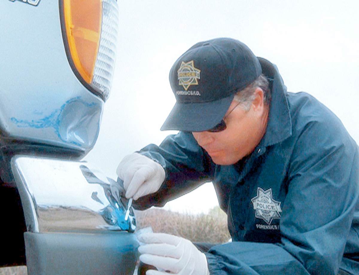csi: den tätern auf der spur