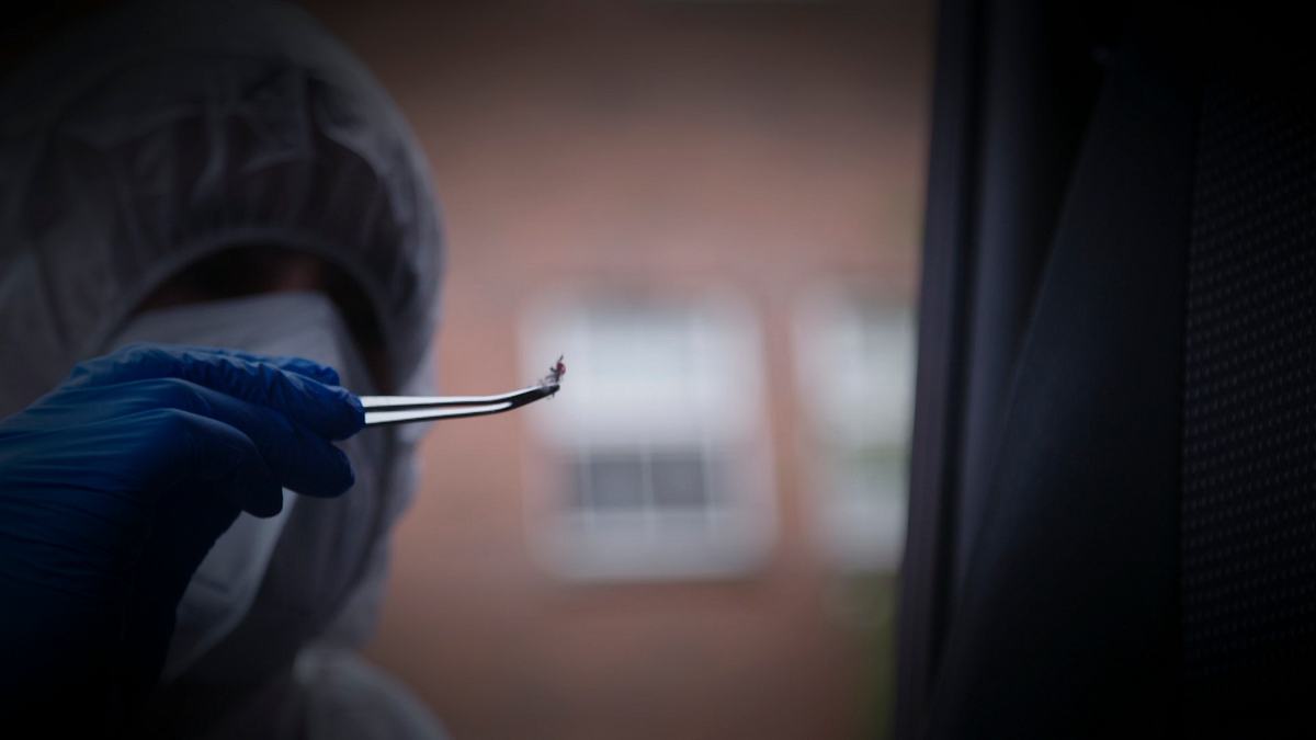 expert witness - forensiker auf spurensuche