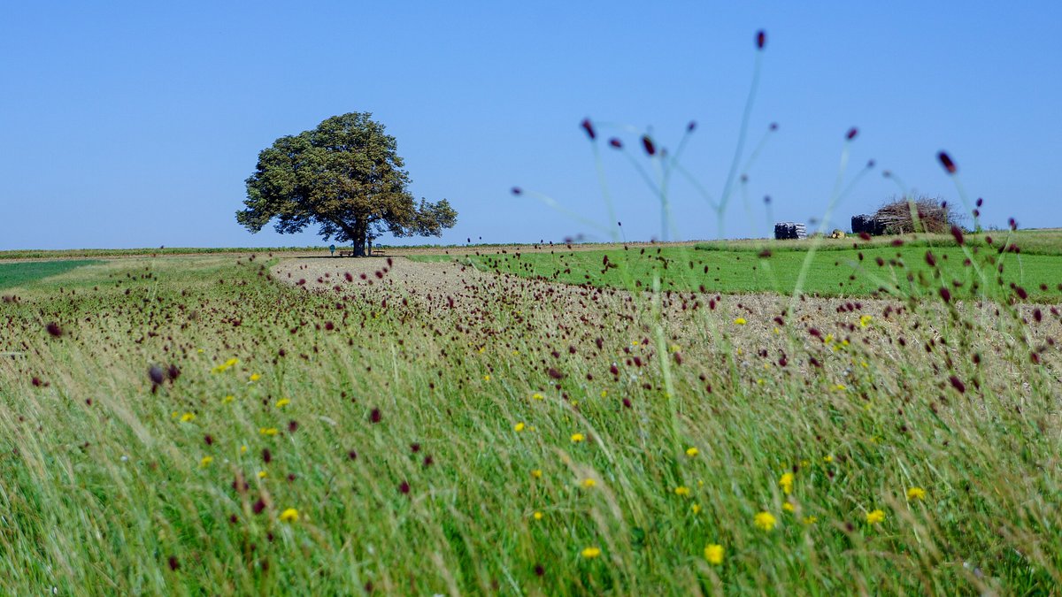 reisezeit - zurück zur natur