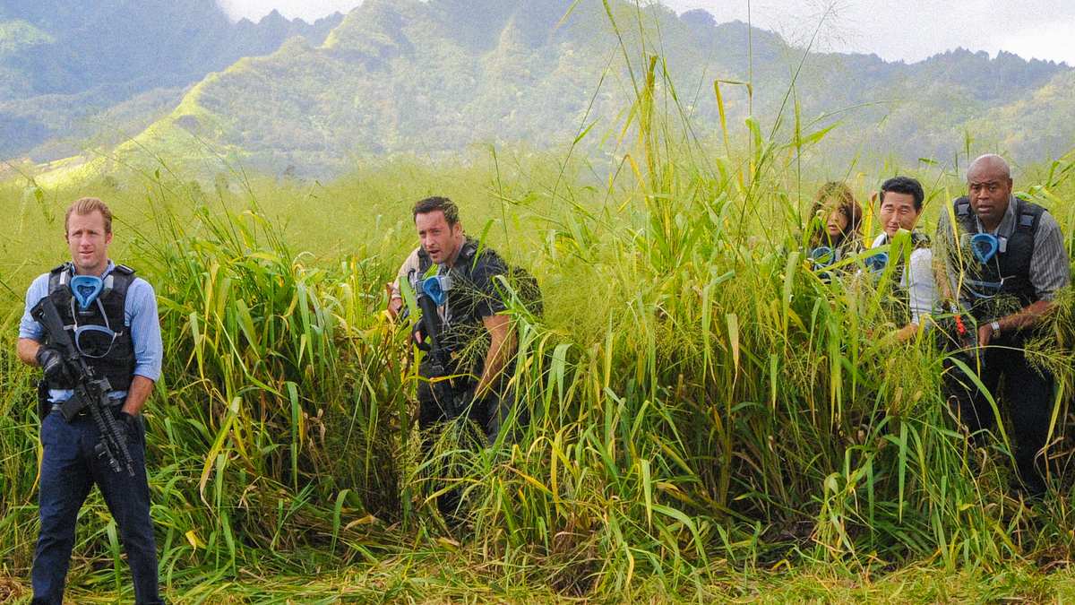 hawaii five-0
