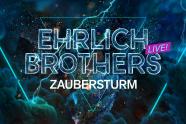 Ehrlich Brothers live!