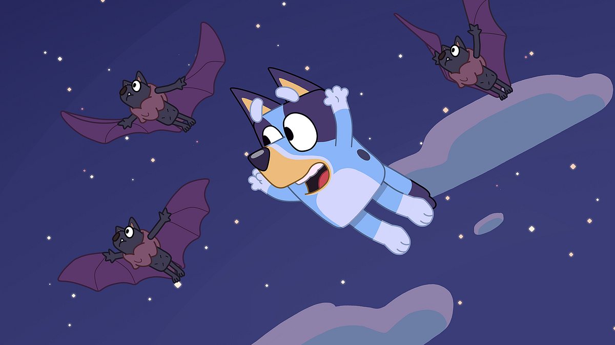 Bluey bluey