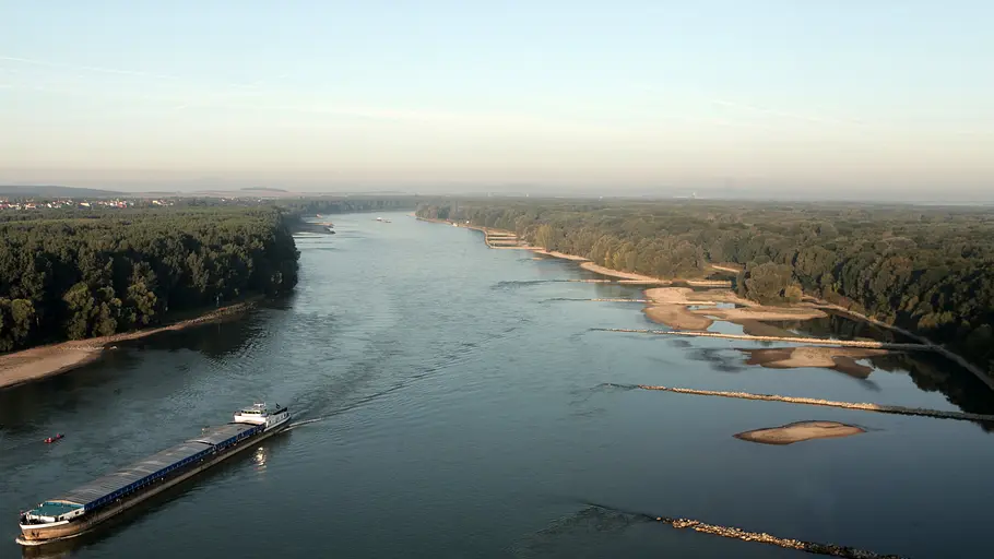 3satThementag: Leben am Fluss / Universum 3satthementag: leben am fluss / universum