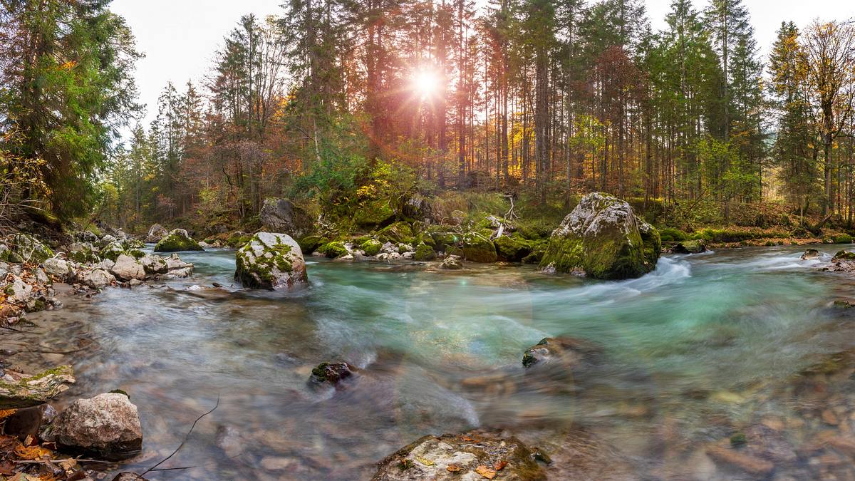 abenteuer wildnis
