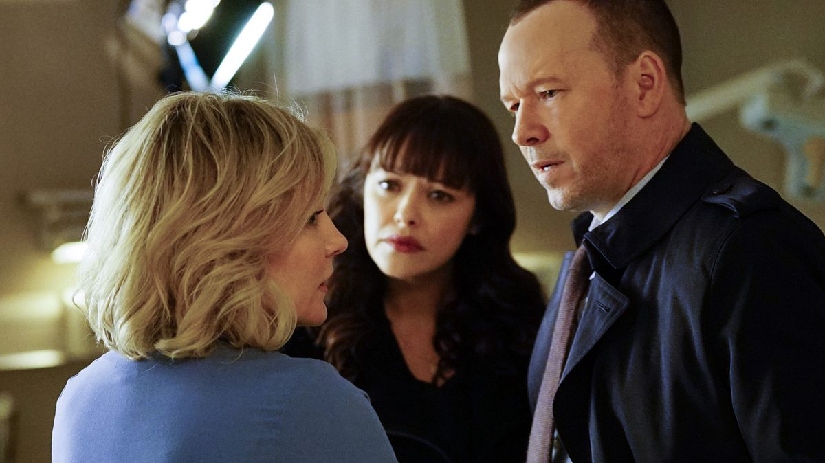 blue bloods - crime scene new york