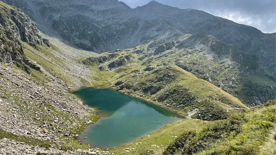 wilde schweiz