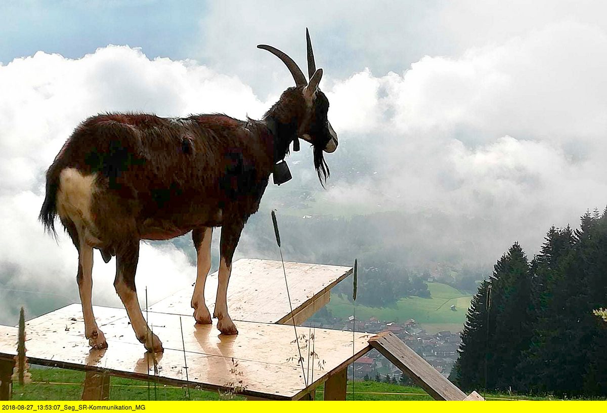 allgäu, da will ich hin!