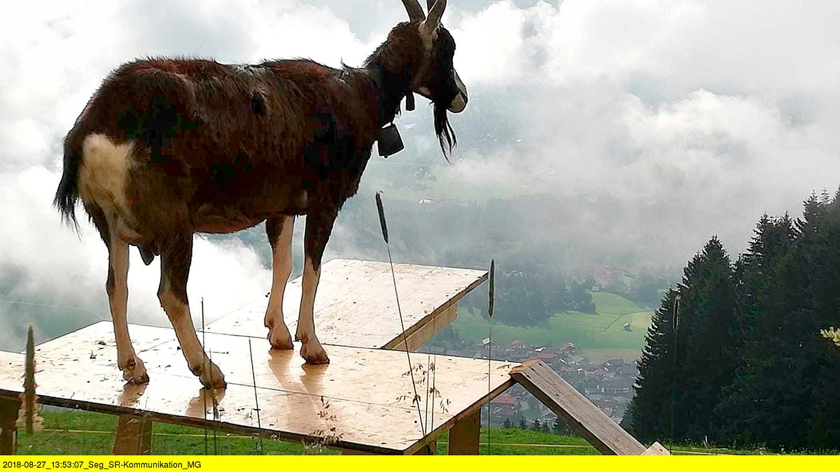 allgäu, da will ich hin!