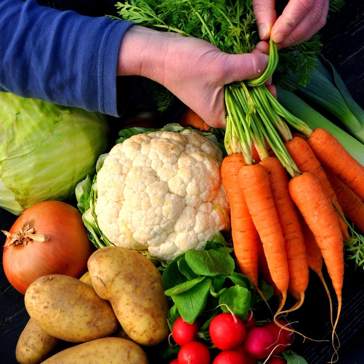 aktiv und gesund