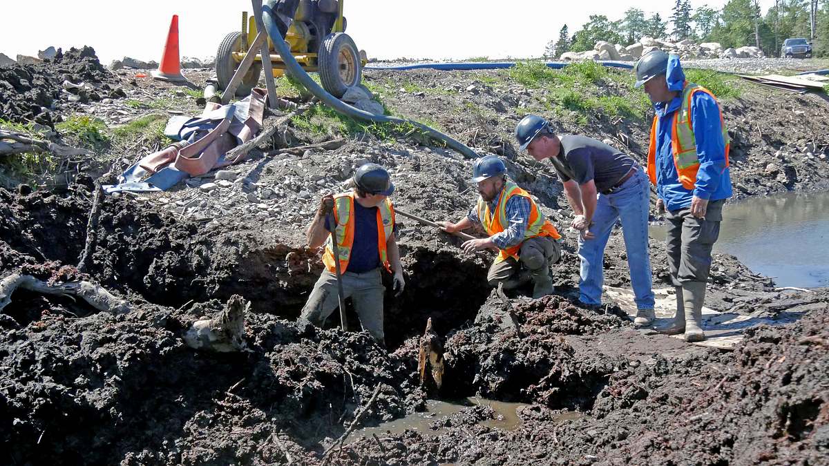 oak island - fluch und legende