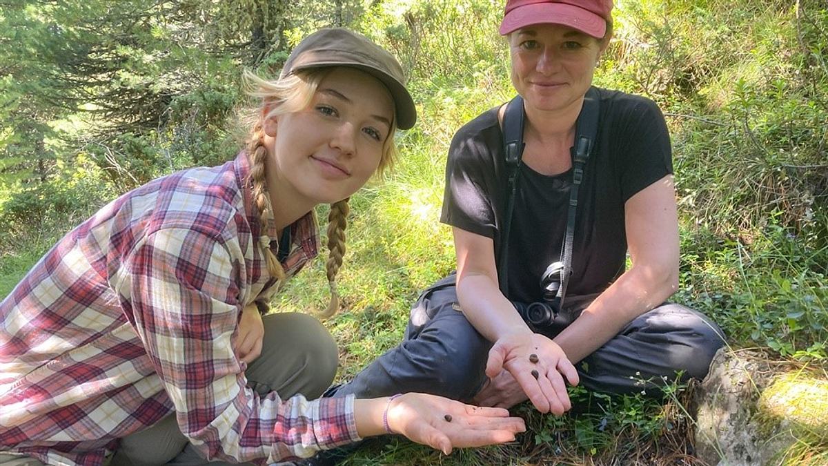Nina und die wilden Tiere nina und die wilden tiere
