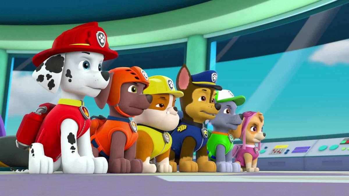 paw patrol - helfer auf vier pfoten