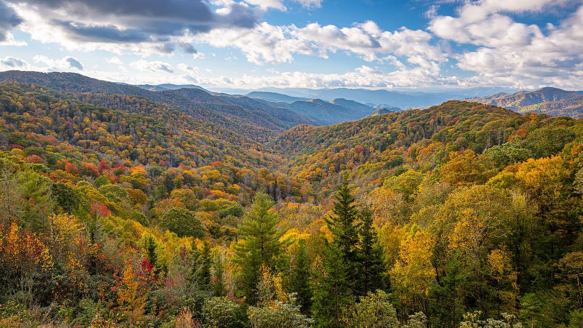 smoky mountains ranger