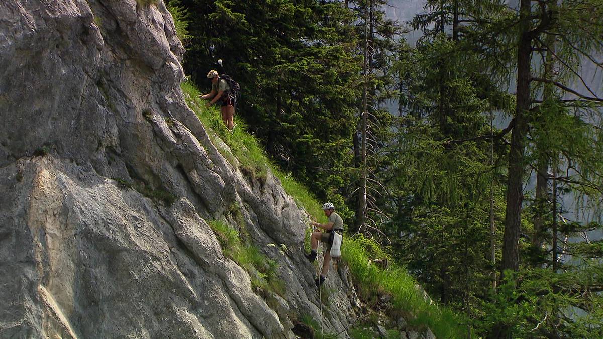 die alpenranger - auf patrouille im paradies