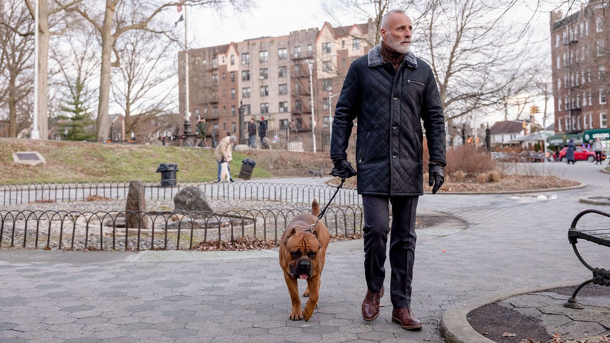 law & order: organized crime