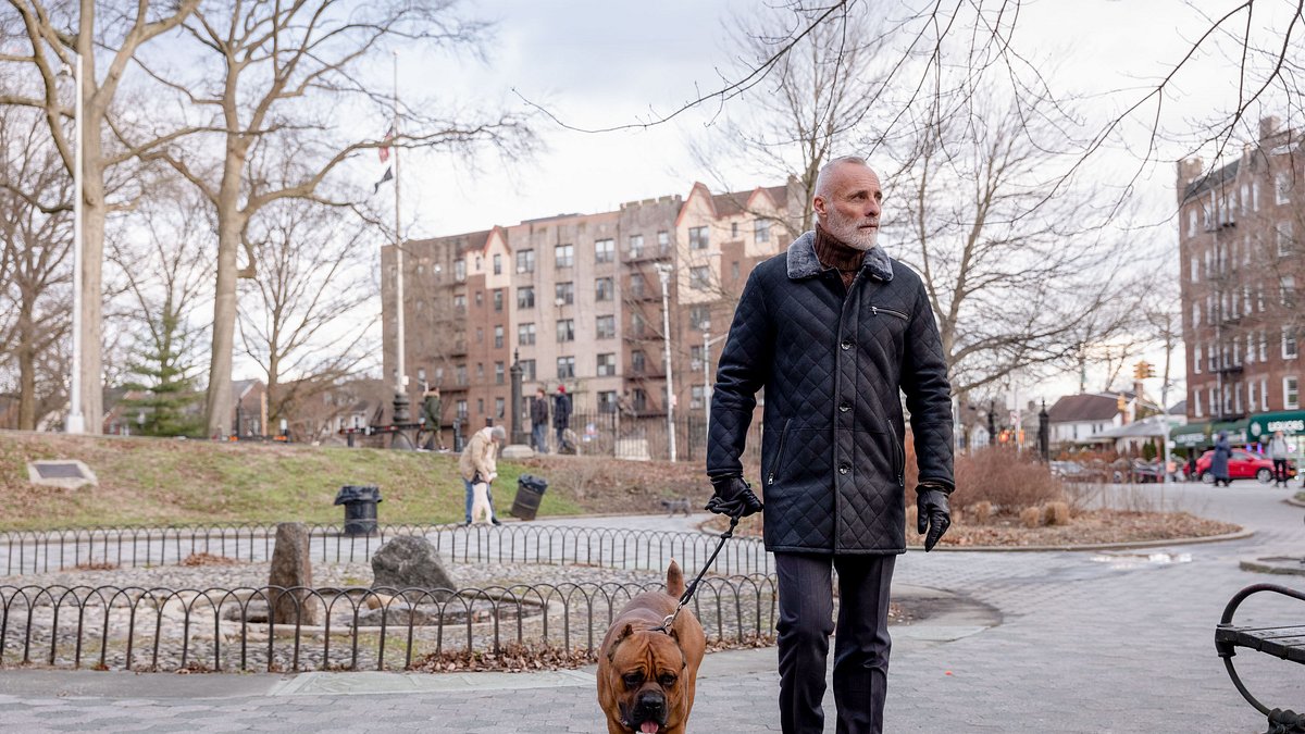 law & order: organized crime