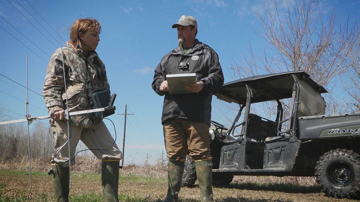 Louisiana Law - Die Wildlife-Ranger louisiana law - die wildlife-ranger