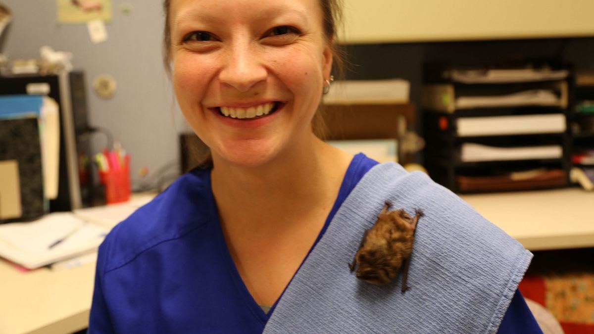 tierische freundschaften