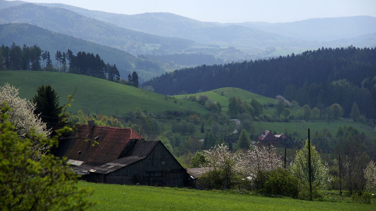 auf der suche nach dem nazi-goldzug