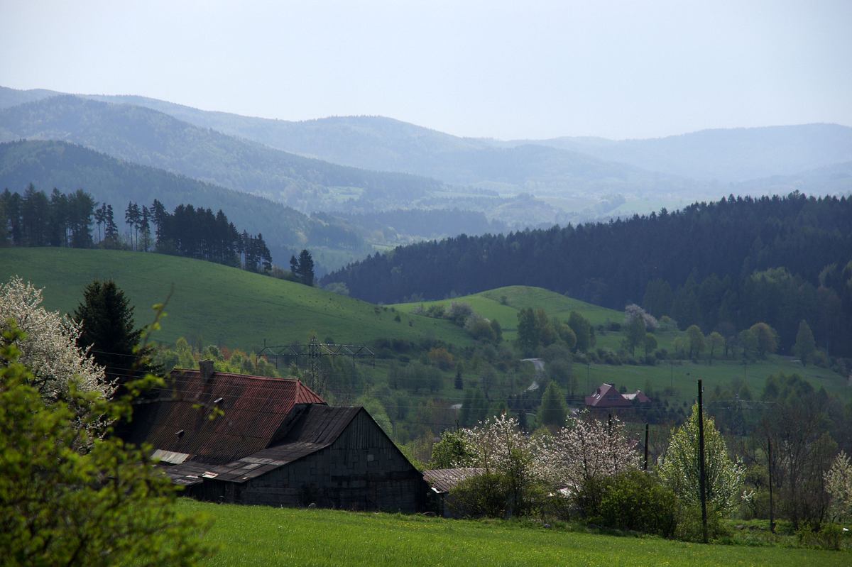 Auf der Suche nach dem Nazi-Goldzug auf der suche nach dem nazi-goldzug