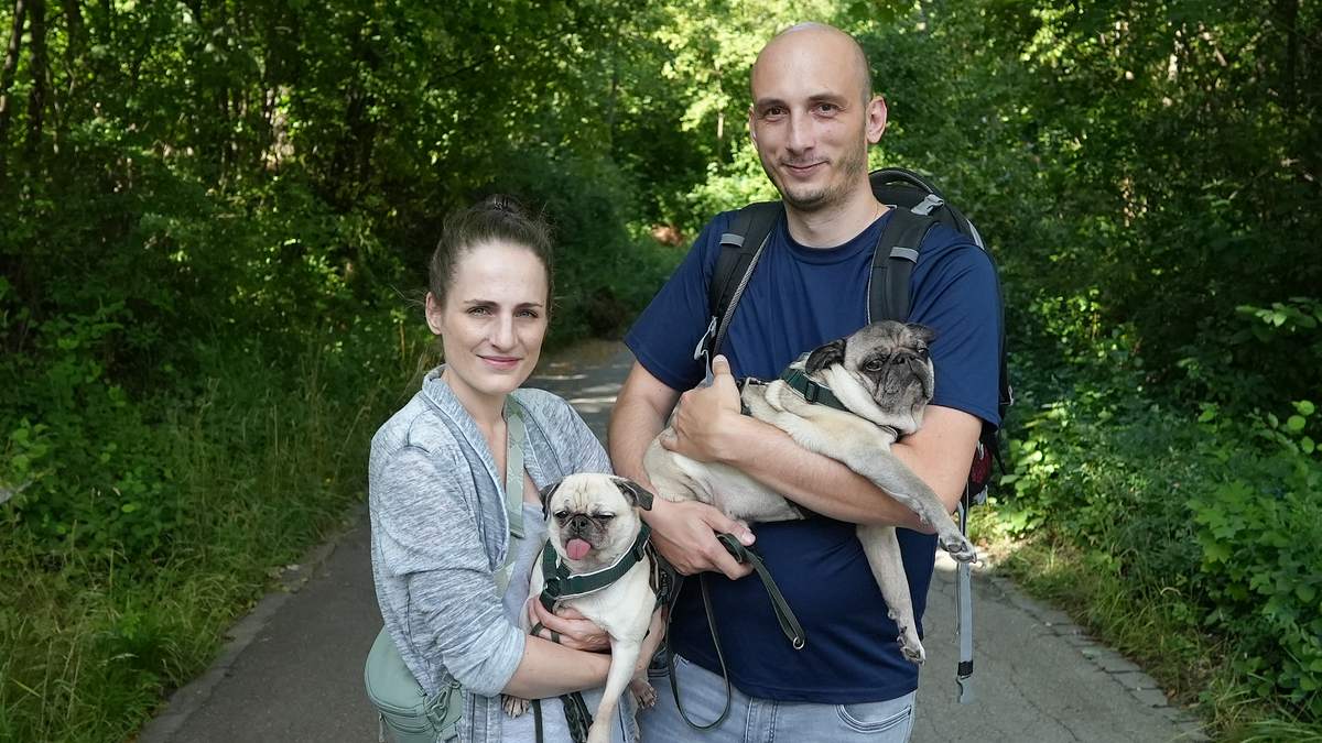 das leiden der modehunde - niedlich, aber krankgezüchtet?