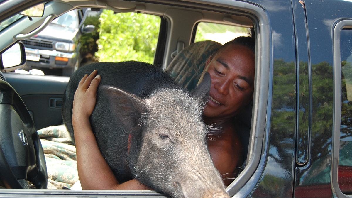 tierische freundschaften