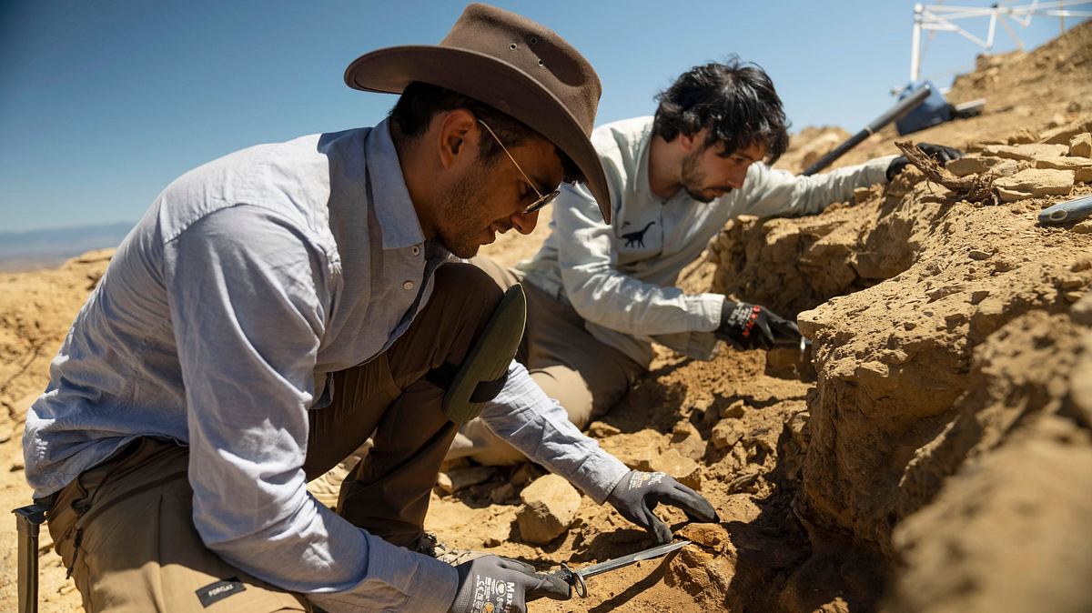 Geheimnisse der Jurassic-Saurier geheimnisse der jurassic-saurier