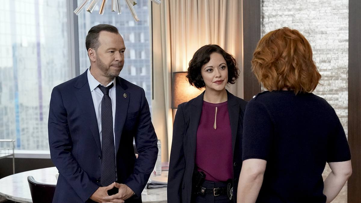 blue bloods - crime scene new york