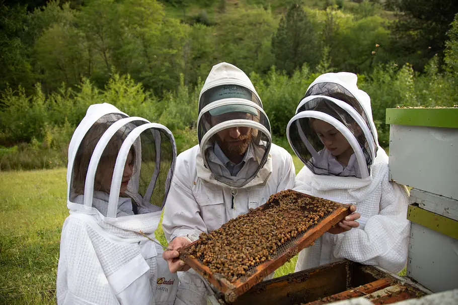 Die geheimnisvolle Welt der Bienen die geheimnisvolle welt der bienen