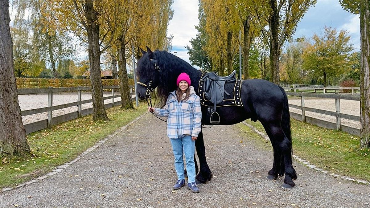 anna und die haustiere