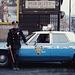 Fort Apache the Bronx Thumbnail