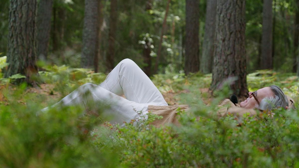 grand designs schweden: der weg zum traumhaus
